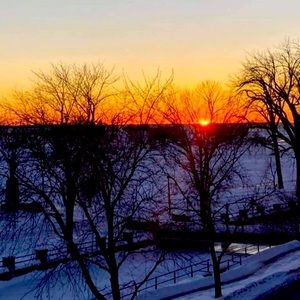 Meet your Posher, Audrey